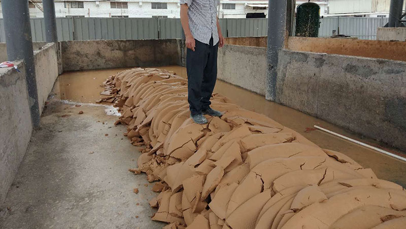 泥浆脱水茄子污视频在线观看