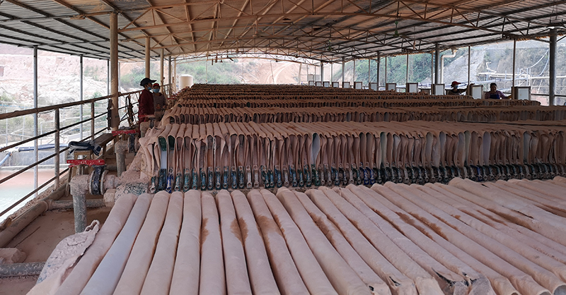 茄子污视频在线观看